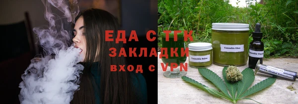 шишки Ельня