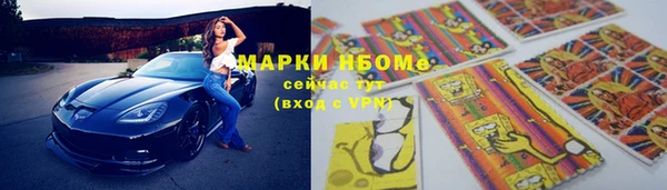 шишки Ельня