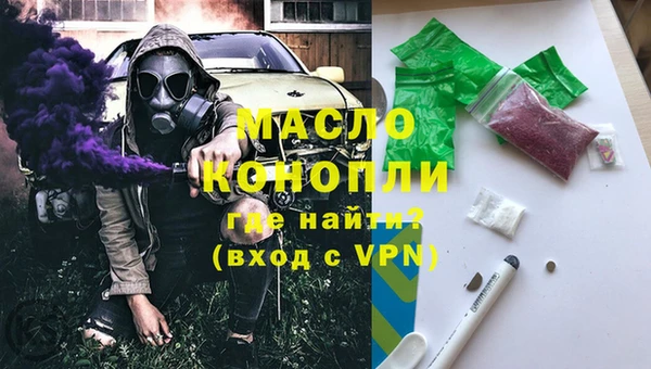 шишки Ельня