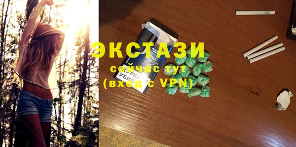 шишки Ельня