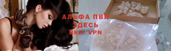 шишки Ельня