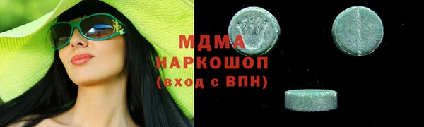 шишки Ельня