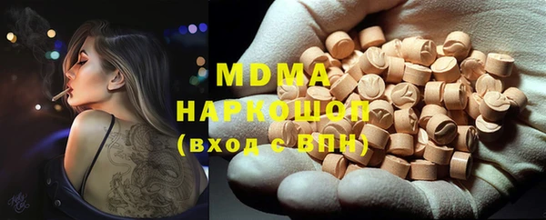 шишки Ельня