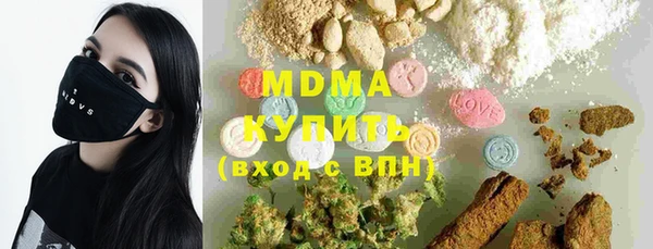 шишки Ельня