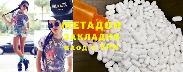 шишки Ельня