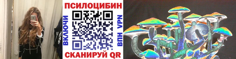 Галлюциногенные грибы Cubensis Вышний Волочёк